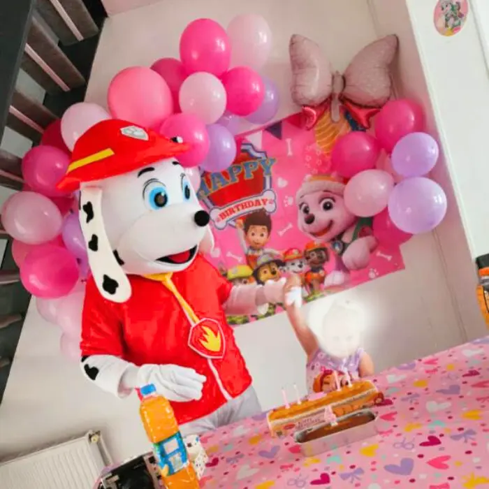 photo anniversaire avec la mascotte pat patrouille chez gribouille événement à Calais (62)